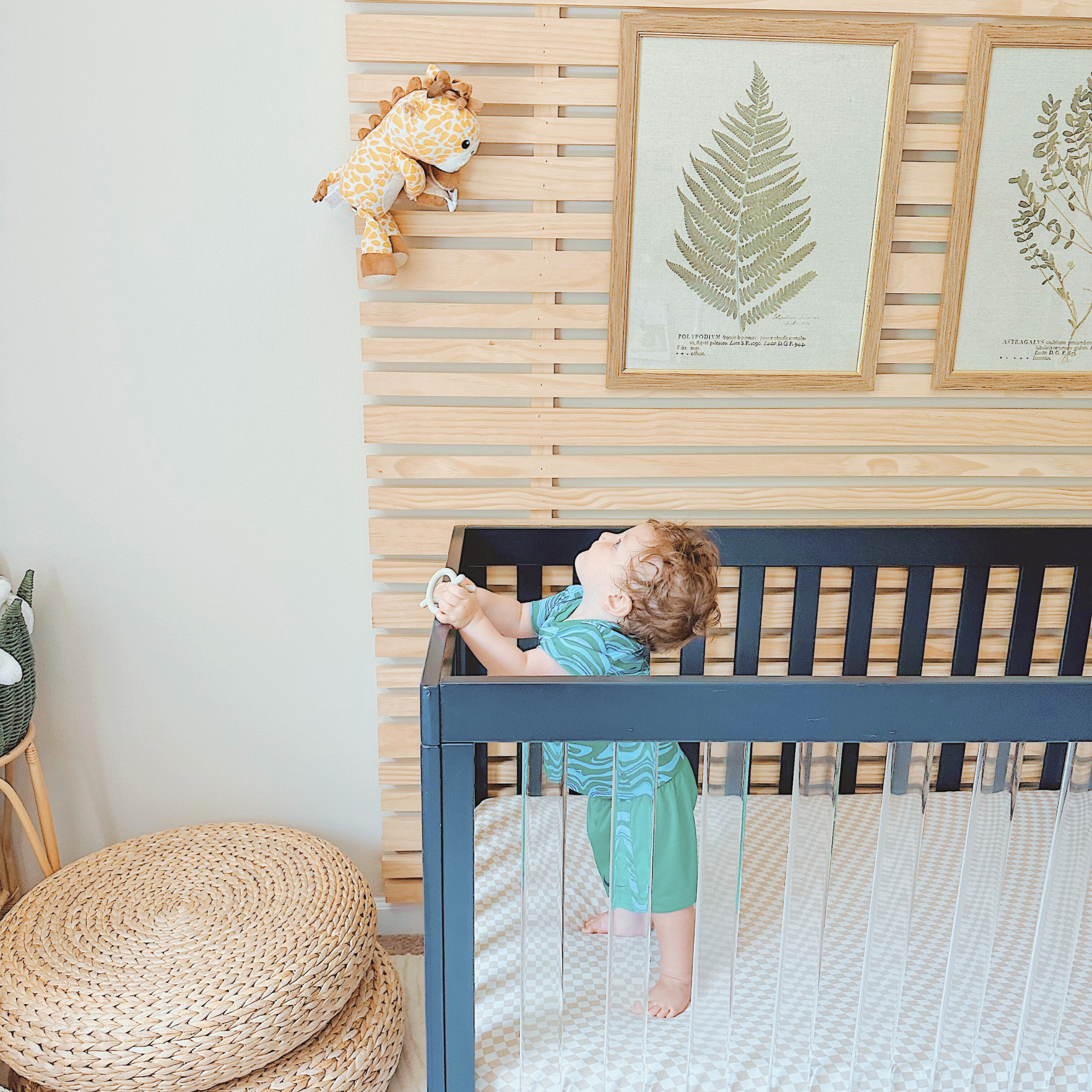 Jordan Giraffe Smart Baby Monito
